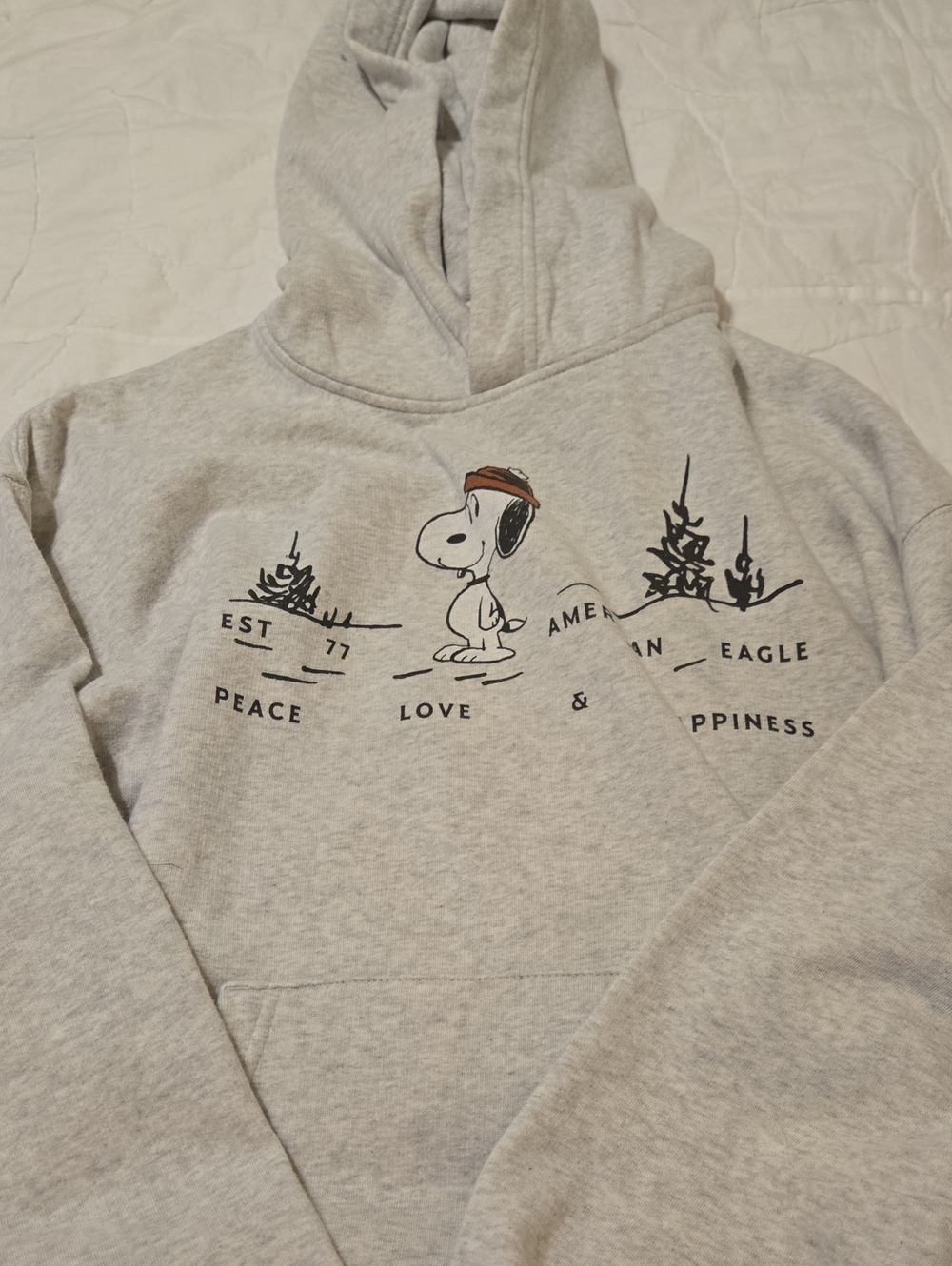 Gray Snoopy Graphic Hoodie Sweatshirt